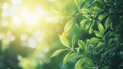 Wall Mural - serene green forest with sunlight filtering through the leaves on a calm day. generative ai