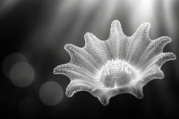 Wall Mural - abstract grayscale image of a delicate, star-shaped, intricate structure resembling a flower or mari