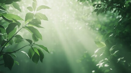 Aufkleber - Sunlight filtering through lush green leaves in a tranquil forest during daylight hours. Generative AI
