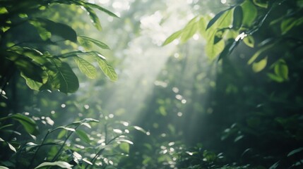 Aufkleber - Sunlight filters through the lush green leaves in a tranquil forest filled with serenity and natural beauty. Generative AI