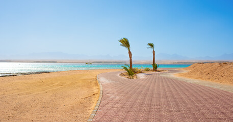 Wall Mural - beautiful views of the coast of sunny sahl hasheesh for background