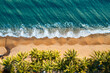 © Matteo Colombo - Top down view of tropical beach with palm trees, Australia