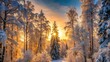 © PloyJai - Golden Hour in a Winter Wonderland Sunlight Beams Through Snow-Covered Trees in a Serene Forest Scene