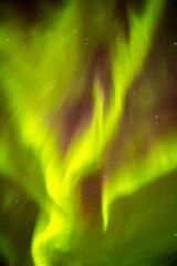 usa, alaska, fairbanks. aurora borealis fills night sky.