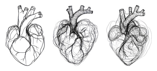 Intricate anatomical heart illustrations, PNG element set on transparent background