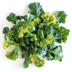 Wall Mural - Fresh broccoli rabe bunch, green vegetable, healthy food.