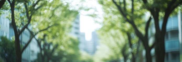 Wall Mural - blurred city park scene with green trees and buildings in background.