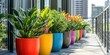 © HO - A row of colorful potted plants on a balcony, bringing greenery to an urban space.