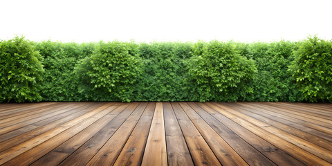 green grass and wooden wall