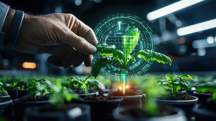 Leinwandbilder - Innovative technology in agriculture with hand nurturing plant, showcasing digital interface for growth monitoring. This high tech farming method enhances crop management and sustainability