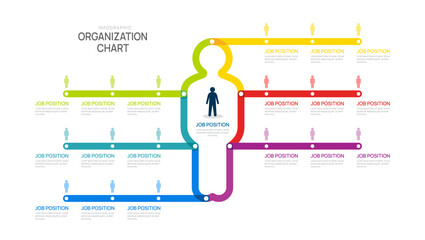 Wall Mural - organization chart infographic man line template for with business avatar icons. vector illustration