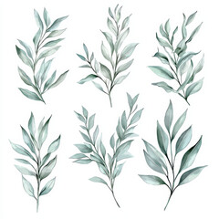 Wall Mural - laurel wreath set with white background