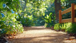 © nddcenter - tranquil forest path with sunlight filtering through lush green foliage and vibrant blue flowers, creating serene and peaceful atmosphere