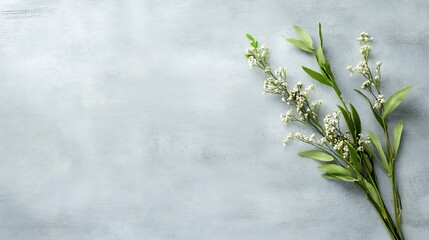Aufkleber - Minimalist floral arrangement on grey background with soft natural lighting : Generative AI
