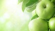 © Kultivad - Fresh Green Apples on a Branch with Dew Drops, Soft Focus Background, Natural Light, Ideal for Text Overlay