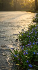 Wall Mural - Spring blooming crocuses by a sunlit icy lake in early morning light