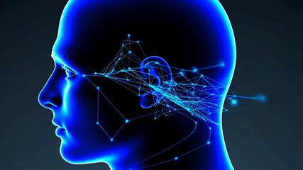 Leinwandbilder - Exploring the Connections of the Human Mind Through Visual Representations of Neural Networks