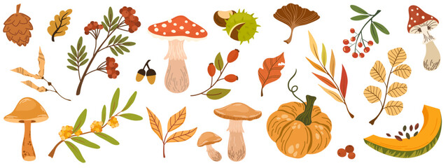 Wall Mural - Hand drawn vector set autumn elements. Fall leaves, mushrooms, maple, acorns, berries, oak, pumpkins and fallen dry leaves. Harvest time. Colored trendy illustration. Autumn floral vector doodle