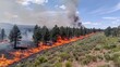 © Best - Controlled Burn: A fire deliberately set in forests to control plant growth, reduce wildfire hazards, and help maintain healthy ecosystems under safe conditions.