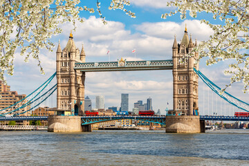 Wall Mural - Tower bridge over Thames river in spring, London, UK