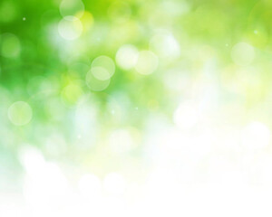 Wall Mural - green bokeh background blur. beautiful blurry green nature background.