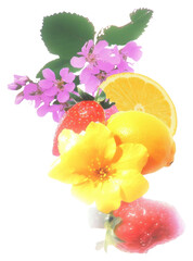 Poster - PNG Yellow background collage fruit.