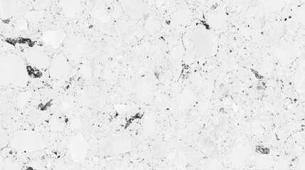 Poster - White textured background, speckled with gray and black.