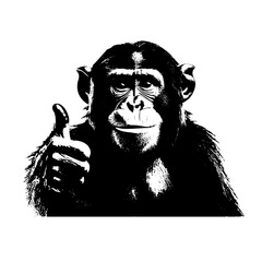 Wall Mural - silhouette of monkey giving a thumbs up vector transparent graphic design