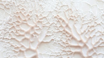 Poster - Abstract cream and white textured background