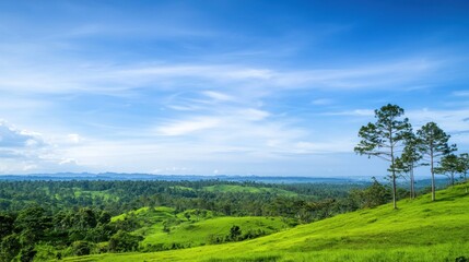 Poster - Scenic Green Hilltop Landscape