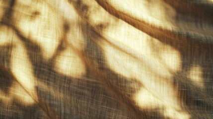 Poster - Abstract image of sunlight filtering through branches, creating shadows and light patterns.