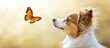 © BlockBrushstrokes - Curious fluffy dog observing a butterfly in a soft-focus background with warm tones, featuring ample empty space for text placement
