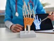 © Nadzeya - A doctor examines a model of a hand skeleton while pointing to an X-ray image on a tablet concept