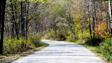 Wall Mural - Curved road with trees and grass on roadside