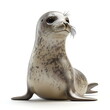 © imam - 3d render of a cute seal isolated on a white background