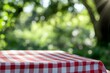 © enter - Red Gingham Tablecloth Outdoors, Sunny Day