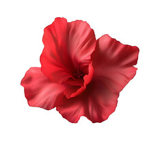 Wall Mural - flying red flower isolated on transparent background cutout