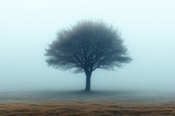 Wall Mural - Mysterious solitary tree stands in a fog-covered field at dawn with muted colors and soft light