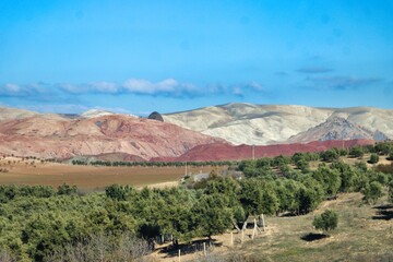 Canvas Print - Northern Morocco