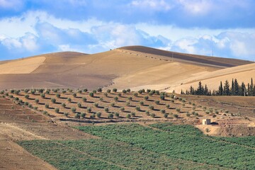 Canvas Print - Northern Morocco