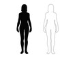 © lincon - Young slim women's body vector illustration, silhouette, outline, and background. Female body shape isolated on background