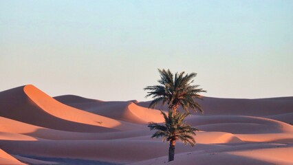 Wall Mural - Merzouga, Morocco