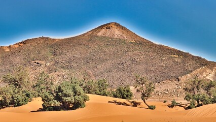 Canvas Print - Merzouga, Morocco