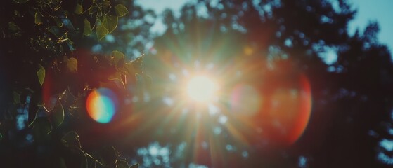 Fototapete - Lens flare texture creating a subtle glow against a light background filled with nature's beauty