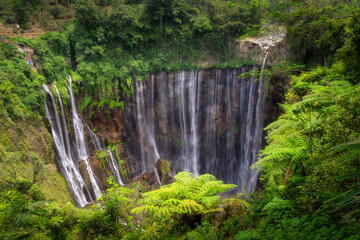 Wall Mural - Immerse yourself in the breathtaking beauty of stunning Tumpak Sewu waterfalls cascading gracefully through lush, vibrant foliage in this tranquil and serene tropical paradise, East Java, Indonesia