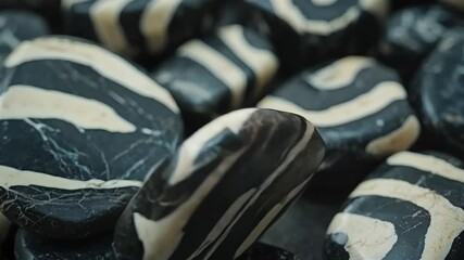 Wall Mural - Close-up of beautifully patterned black and white stones, showcasing natural artistry and texture.