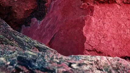 Wall Mural - A close-up view of colorful rock formations showcasing red and black textures in a natural setting.