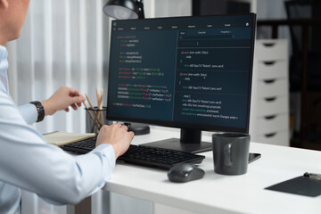 Smart IT developer looking at coding program application on computer screen of online website, analyzing intelligent database system development on business world market at modern office. Infobahn.