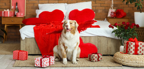 Sticker - Cute Australian shepherd dog with Cupid's wings and gift boxes sitting on floor in festive bedroom. Valentine's Day celebration