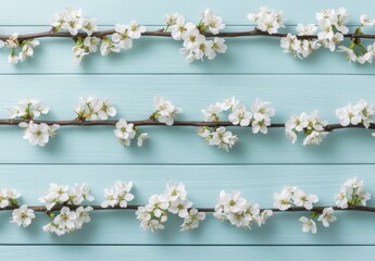 Poster - Pretty spring cherry blossom branches on a turquoise blue background, leaving room for your design, embodying the springtime holidays and nature theme